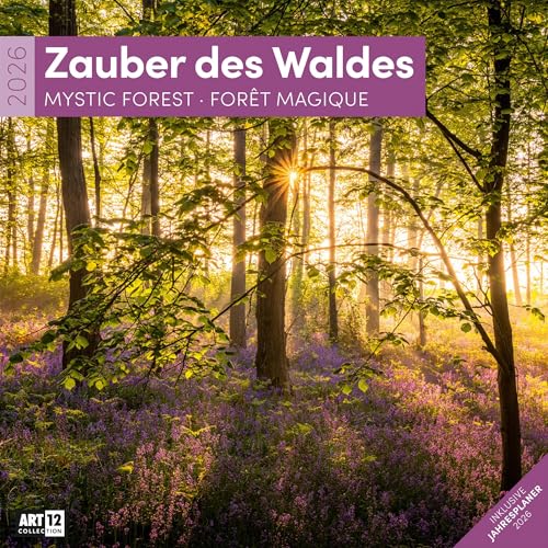 Zauber des Waldes Broschürenkalender 2026 - 30x30 - Art12 | Stilsicherer Wald-Kalender im schlanken Hochformat (aufgeklappt 30x60 cm) | zum Eintragen Zauber des Waldes Broschürenkalender 2026 - 30x30 - Art12 | Stilsicherer Wald-Kalender im schlanken Hochformat (aufgeklappt 30x60 cm) | zum Eintragen