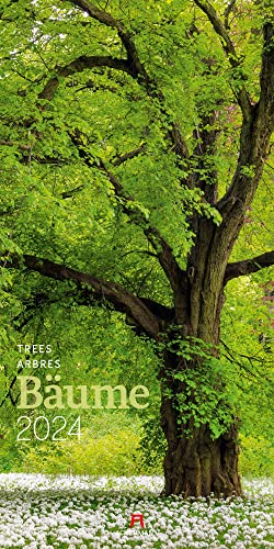 Bäume Kalender 2024, Wandkalender im Hochformat (33x66 cm) - Landschaftskalender / Naturkalender von Ackermann Kunstverlag