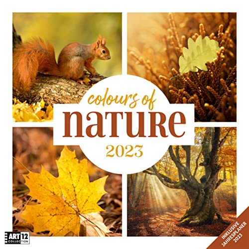 Colours of Nature 2023, Wandkalender / Broschürenkalender im Hochformat (aufgeklappt 30x60 cm) - Geschenk-Kalender mit Monatskalendarium zum Eintragen