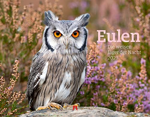 Eulen - weise Jäger der Nacht Kalender 2023, Wandkalender im Querformat (54x42 cm) - Tierkalender / Vogelkalender