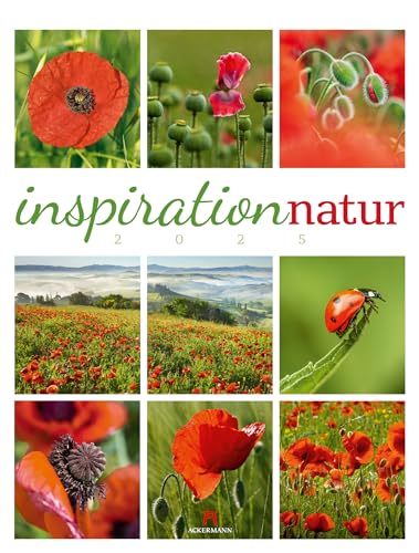 Inspiration Natur Kalender 2025, Wandkalender im Hochformat (50x66 cm) - Inspirations- / Naturkalender mit Bildmosaik im Triplet-Stil