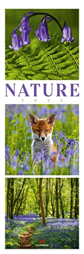 Nature Kalender 2023, Triplet-Wandkalender im Hochformat (33x100 cm) - Inspirationskalender / Naturkalender