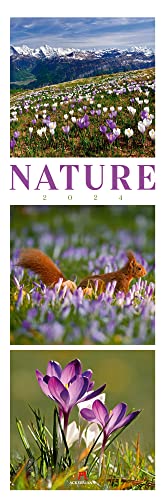Nature Kalender 2024, Triplet-Wandkalender im Hochformat (33x100 cm) - Inspirationskalender / Naturkalender