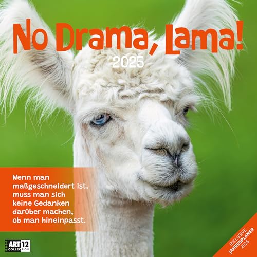 No Drama, Lama! 2025, Wandkalender / Broschürenkalender im Hochformat (aufgeklappt 30x60 cm) - Art12 - Geschenk-Kalender mit Monatskalendarium zum Eintragen