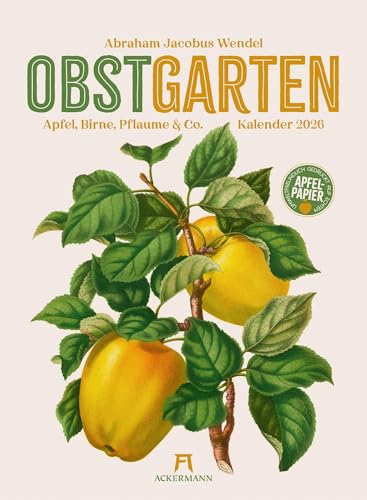 Obstgarten Kalender 2026 | Apfel, Birne, Pflaume & Co. | Stilvoller Retro-Küchen-Kalender im Hochformat (33x45 cm) | Gedruckt auf Apfelpapier von "Ackermann Kunstverlag"