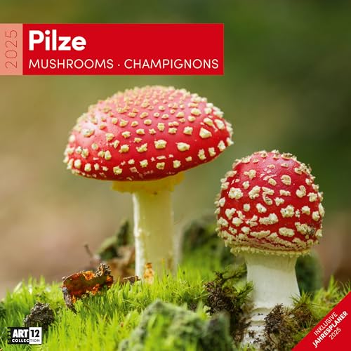 Pilze 2025, Wandkalender / Broschürenkalender im Hochformat (aufgeklappt 30x60 cm) - Art12 - Natur-Kalender mit Monatskalendarium zum Eintragen