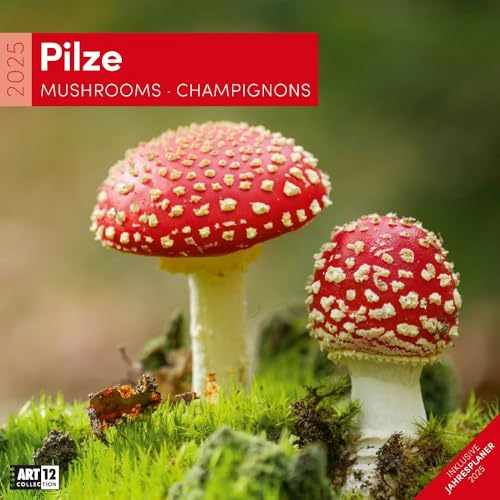 Pilze 2025, Wandkalender / Broschürenkalender im Hochformat (aufgeklappt 30x60 cm) - Art12 - Natur-Kalender mit Monatskalendarium zum Eintragen Pilze 2025, Wandkalender / Broschürenkalender im Hochformat (aufgeklappt 30x60 cm) - Art12 - Natur-Kalender mit Monatskalendarium zum Eintragen