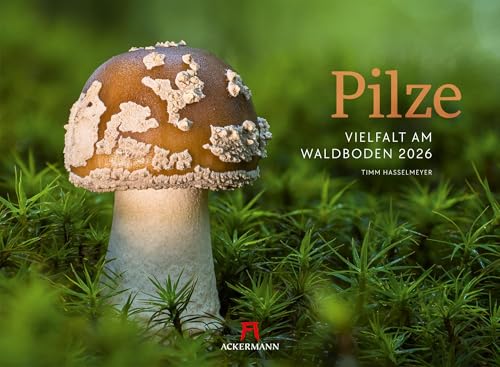Pilze Kalender 2026 | Vielfalt am Waldboden | Informativer Natur-Kalender im Querformat (45x33 cm) | Mit ausführlichen Bildunterschriften von "Ackermann Kunstverlag"