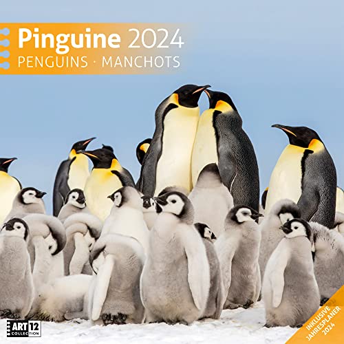 Pinguine 2024, Wandkalender / Broschürenkalender im Hochformat (aufgeklappt 30x60 cm) - Geschenk-Kalender mit Monatskalendarium zum Eintragen
