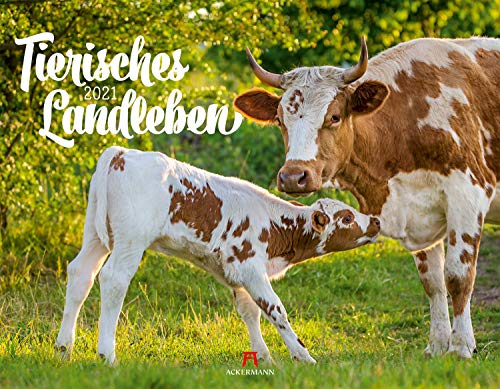 Tierisches Landleben Kalender 2021, Wandkalender im Querformat (54x42 cm) - Tierkalender, Bauernhof-Tiere wie Kühe, Schweine, Esel, Ziegen, Gänse