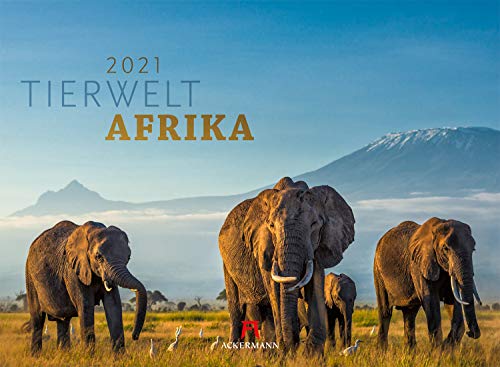 Tierwelt Afrika Kalender 2021, Wandkalender im Querformat (45x33 cm) - Tierkalender