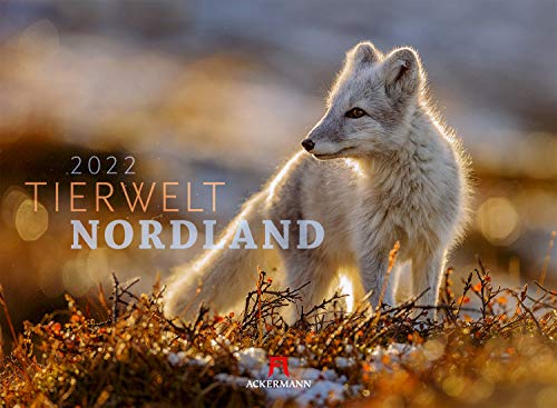 Tierwelt Nordland Kalender 2022, Wandkalender im Querformat (45x33 cm) - Tierkalender mit den Tieren des hohen Nordens von Ackermann Kunstverlag