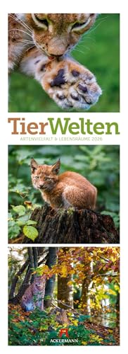 Tierwelten Triplet-Kalender 2026 | Artenvielfalt & Lebensräume | Niedlicher Tier-Kalender im schlanken Hochformat (24x66 cm) | Triplet-Fotografie von "Ackermann Kunstverlag"