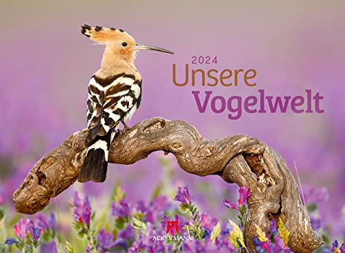 Unsere Vogelwelt Kalender 2024, Wandkalender im Querformat (45x33 cm) - Vogelkalender mit heimischen Vögeln, Tiere in Deutschland