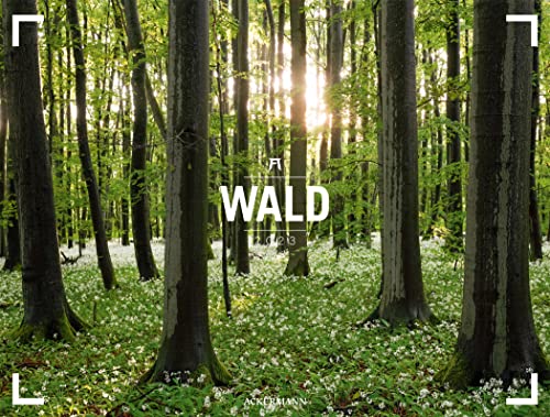 Wald - Gallery Kalender 2023, Wandkalender im Querformat (66x50 cm) - Großformat / Hochwertiger Panorama-Kalender Natur, Wälder und Bäume