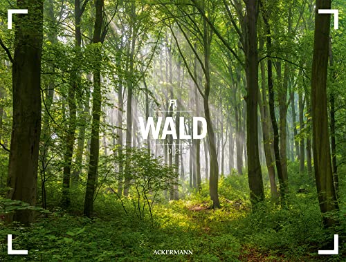 Wald - Gallery Kalender 2024, Wandkalender im Querformat (66x50 cm) - Großformat / Hochwertiger Panorama-Kalender Natur, Wälder und Bäume