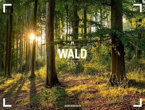 Wald Gallery Kalender 2026 | Geschmackvoller Natur-Kalender im großen Querformat (66x50 cm) | Wälder und Bäume im Großformat von "Ackermann Kunstverlag"