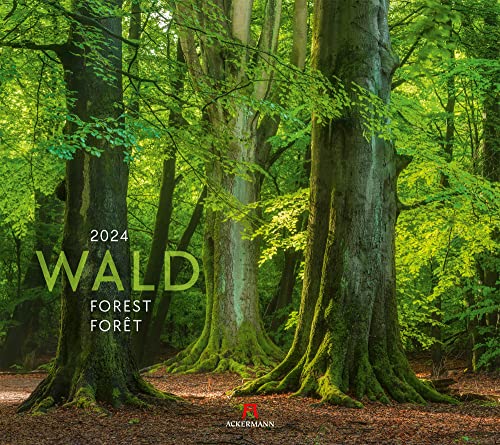 Wald Kalender 2024, Wandkalender im Querformat (54x48 cm) - Landschaftskalender / Naturkalender von Ackermann Kunstverlag