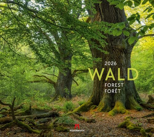 Wald Kalender 2026 | Hochwertiger Natur-Kalender im großen Querformat (54x48 cm) | Bäume und Pflanzenwelt im Wandel der Jahreszeiten von "Ackermann Kunstverlag"
