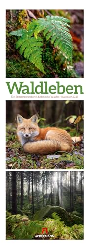 Waldleben - Ein Spaziergang durch heimische Wälder Triplet-Kalender 2025, Wandkalender im Hochformat (24x66 cm) - Waldkalender / Naturkalender