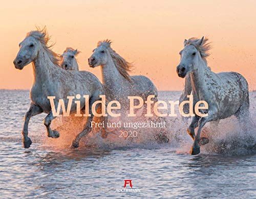 Wilde Pferde 2020, Wandkalender im Querformat (54x42 cm) - Tierkalender / Pferdekalender mit Monatskalendarium