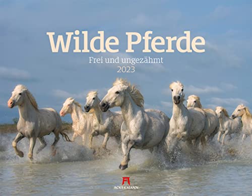 Wilde Pferde Kalender 2023, Wandkalender im Querformat (54x42 cm) - Tierkalender / Pferdekalender von Ackermann Kunstverlag