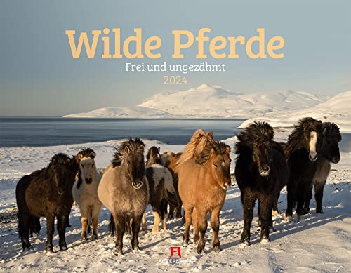 Wilde Pferde Kalender 2024, Wandkalender im Querformat (54x42 cm) - Tierkalender / Pferdekalender