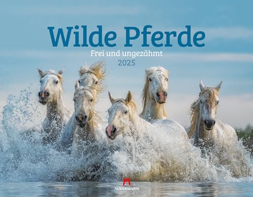 Wilde Pferde Kalender 2025, Wandkalender im Querformat (54x42 cm) - Tierkalender / Pferdekalender