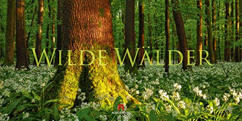 Wilde Wälder Kalender 2024, Wandkalender / Panoramakalender im Querformat (66x33 cm) - Landschaftskalender / Naturkalender von Ackermann Kunstverlag