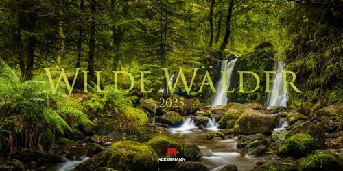 Wilde Wälder Kalender 2025, Wandkalender / Panoramakalender im Querformat (66x33 cm) - Landschaftskalender / Naturkalender