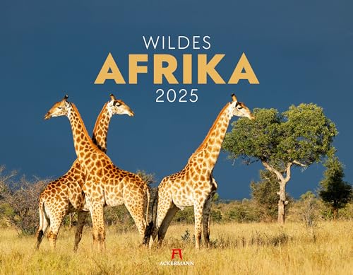 Wildes Afrika Kalender 2025, Wandkalender im Querformat (54x42 cm) - Tierkalender, Afrika, Big Five