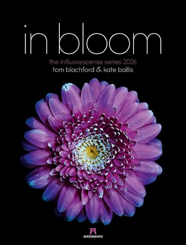 in bloom Kalender 2026 | Floraler Design-Kalender im großen Hochformat (50x66 cm) | Blüten-Portraits | im Nanographic-Printing-Verfahren gedruckt von "Ackermann Kunstverlag"