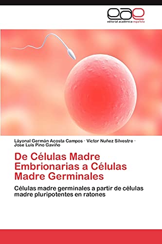 De Células Madre Embrionarias a Células Madre Germinales: Células madre germinales a partir de células madre pluripotentes en ratones De Células Madre Embrionarias a Células Madre Germinales: Células madre germinales a partir de células madre pluripotentes en ratones von Eae Editorial Academia Espanola