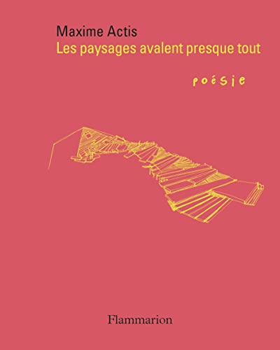 Les paysages avalent presque tout von FLAMMARION