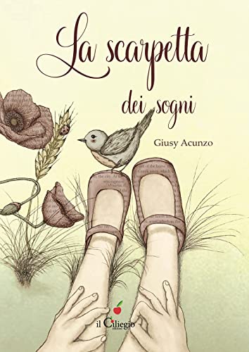La scarpetta dei sogni. Ediz. a colori (Silent book)