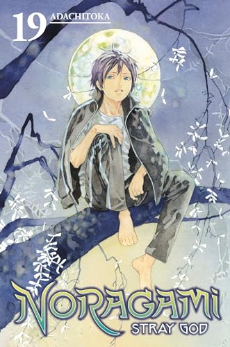 Noragami: Stray God 19 von Kodansha Comics