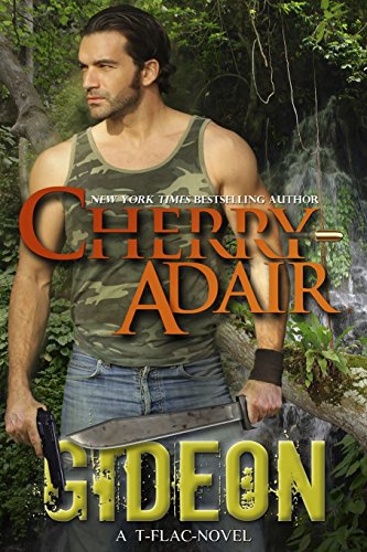 Gideon (Stark Brothers, Band 2) von Adair Digital