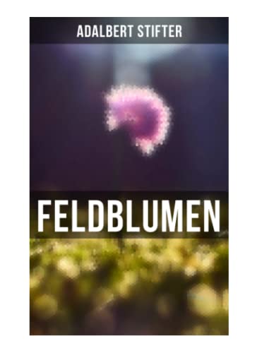 Feldblumen Feldblumen