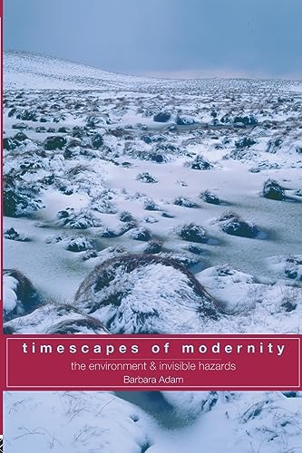 Timescapes of Modernity: The Environment and Invisible Hazards (Global Environmental Change) von Routledge
