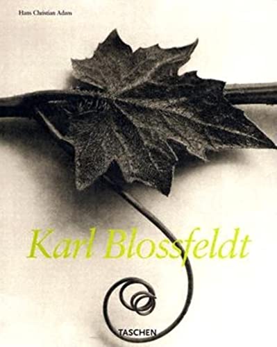 Karl Blossfeldt