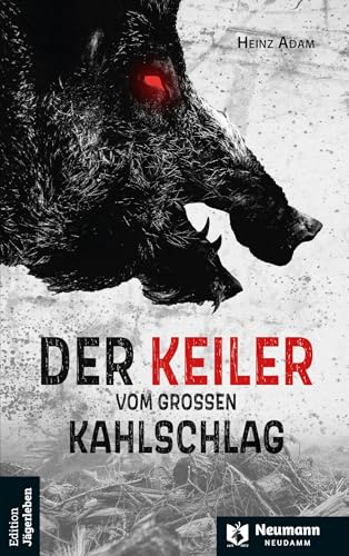Der Keiler vom großen Kahlschlag