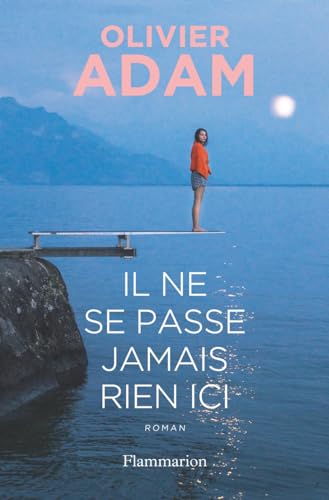 Il ne se passe jamais rien ici: Roman Il ne se passe jamais rien ici: Roman