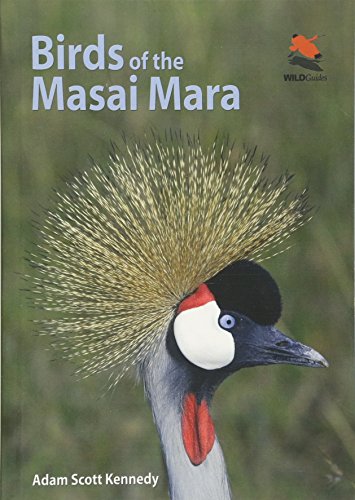 Birds of the Masai Mara (Wildlife Explorer Guides)