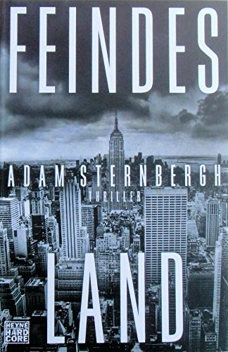 Feindesland: Thriller