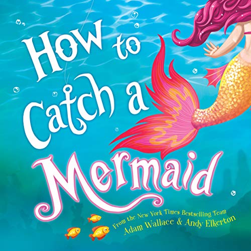 How to Catch a Mermaid von Sourcebooks Wonderland