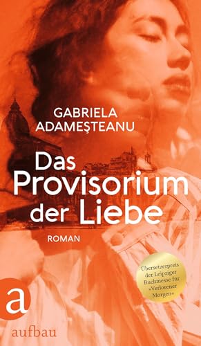 Das Provisorium der Liebe: Roman