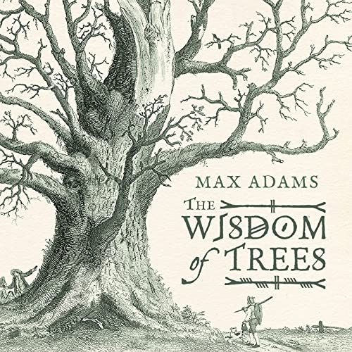 The Wisdom Of Trees: A Miscellany von Head of Zeus