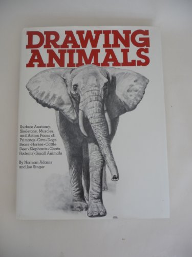 Drawing Animals