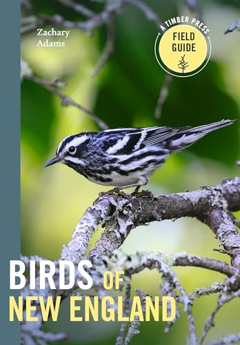 Birds of New England: A Timber Press Field Guide Birds of New England: A Timber Press Field Guide von Timber Press