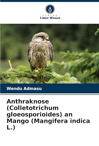 Anthraknose (Colletotrichum gloeosporioides) an Mango (Mangifera indica L.) von Verlag Unser Wissen